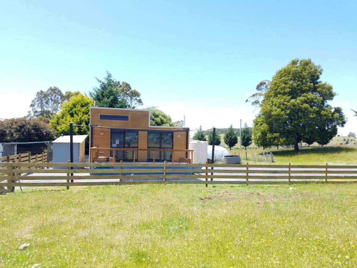 Tiny Cradle At The Good Place Staverton エクステリア 写真